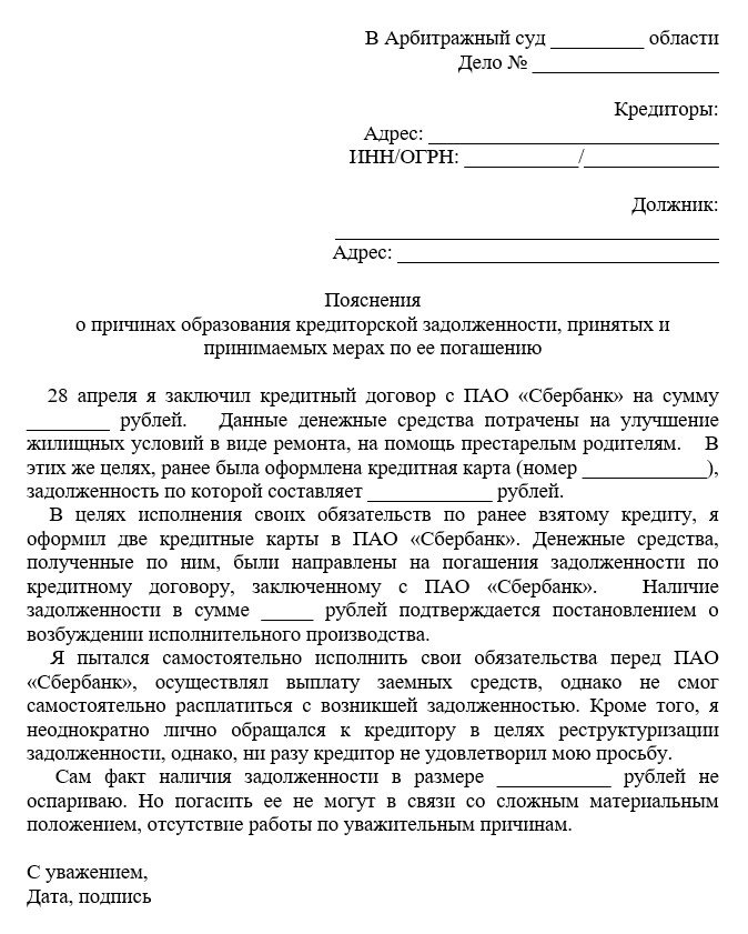 Пояснения о причинах образования кредиторской задолженности, принятых и принимаемых мерах по ее погашению