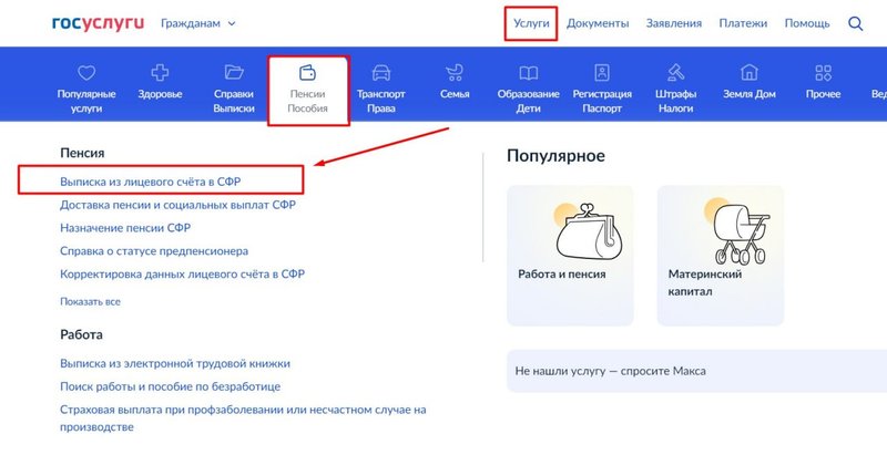 Заказ выписки по лицевому счету через Госуслуги