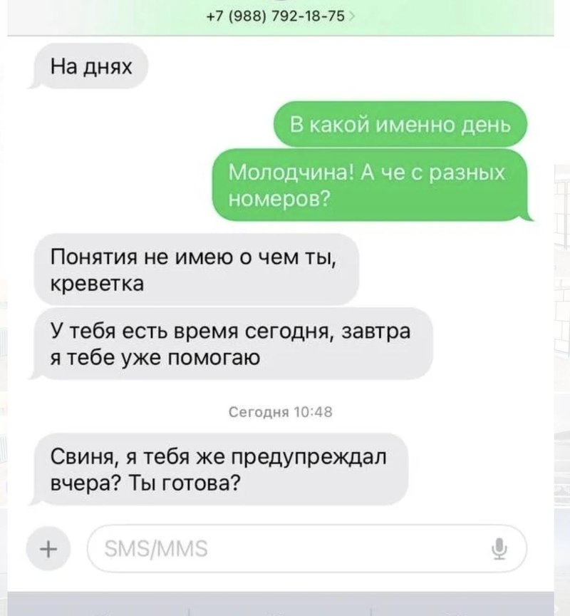 Образец переписки клиента и коллектора